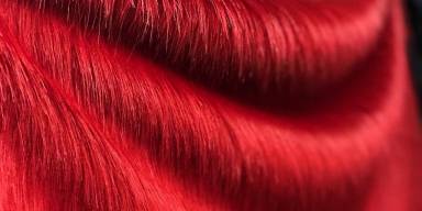Fox Red