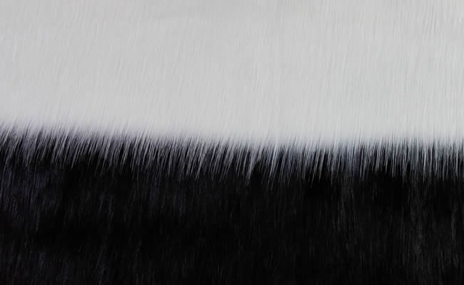 Ponponluk Düz Tilki Peluş Kumaş